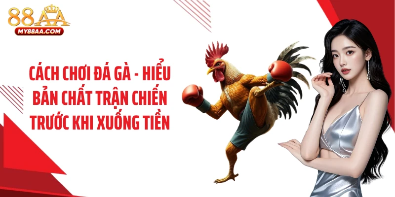 Cách chơi đá gà - hiểu bản chất trận chiến trước khi xuống tiền