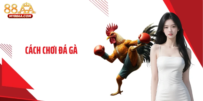Cách Chơi Đá Gà Giúp Đọc Trận Chuẩn, Tránh Sập Bẫy