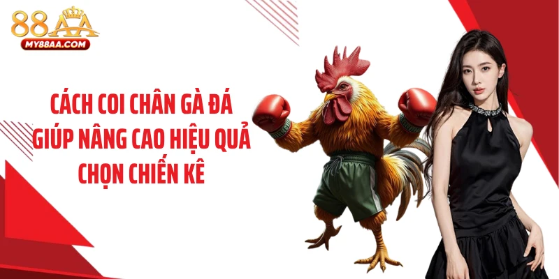 Cách coi chân gà đá giúp nâng cao hiệu quả chọn chiến kê