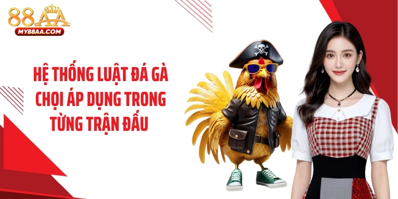 Hệ thống luật đá gà chọi áp dụng trong từng trận đấu 