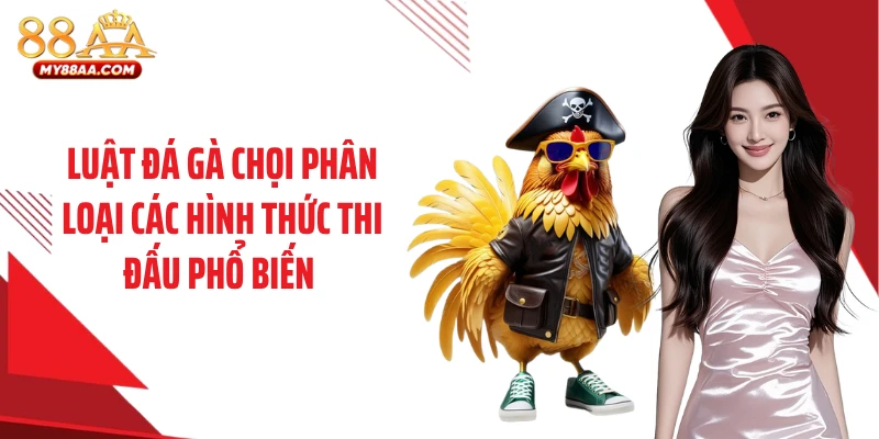 Luật đá gà chọi phân loại các hình thức thi đấu phổ biến 