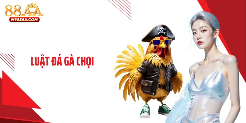 Luật Đá Gà Chọi: Bí Quyết Đọc Trận Và Chọn Kèo Chuẩn