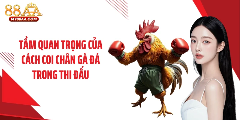 Tầm quan trọng của cách coi chân gà đá trong thi đấu