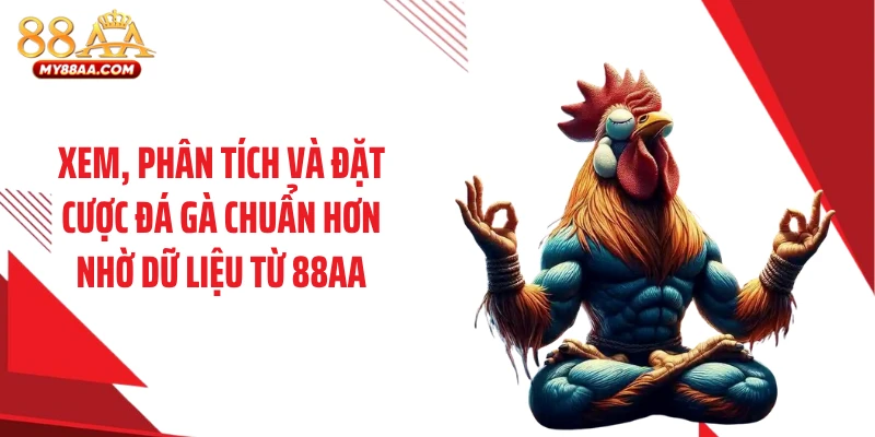 Xem, phân tích và đặt cược đá gà chuẩn hơn nhờ dữ liệu từ 88AA